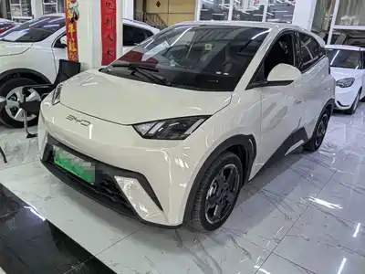 BYD Seagull
