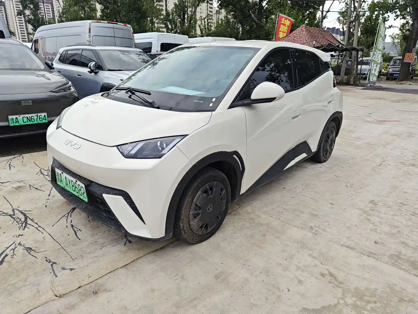 BYD Seagull 2024 Glory Edition 305km Freedom Edition
