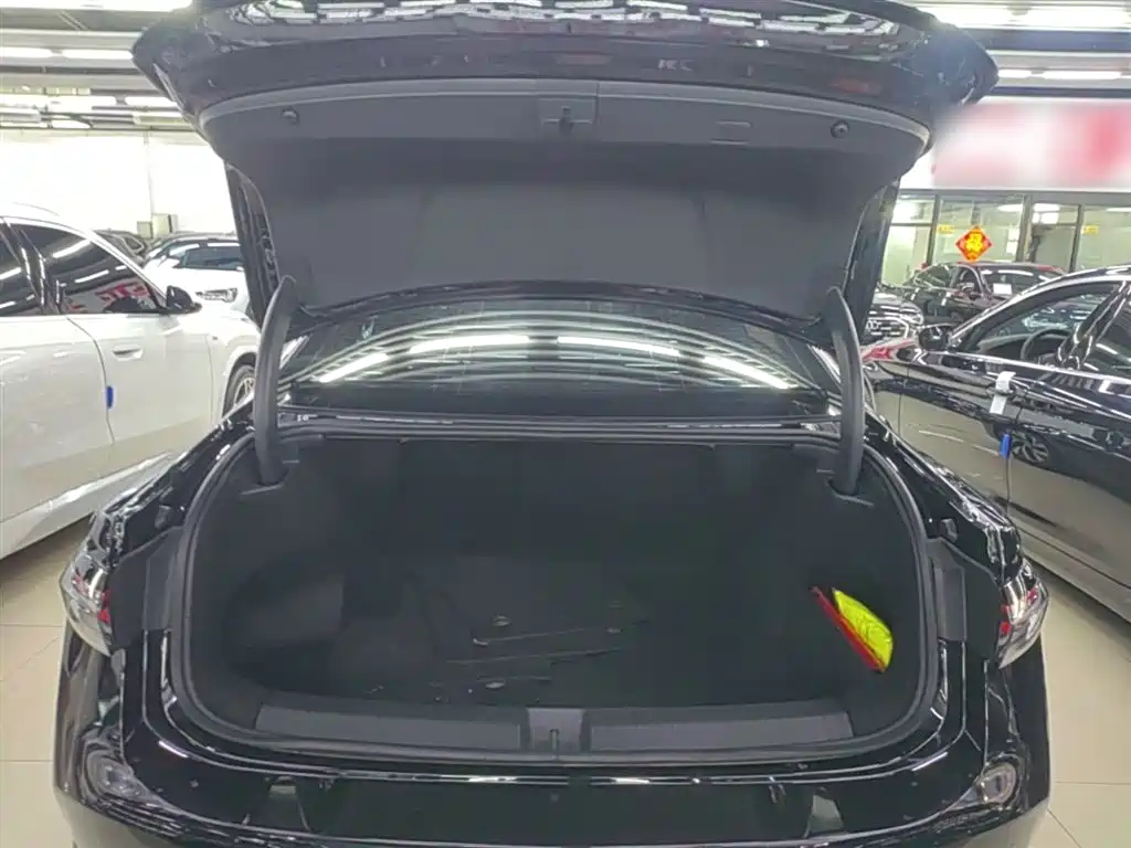 Volkswagen Passat 2025 Pro 380TSI Dragon Glory Edition фото 19