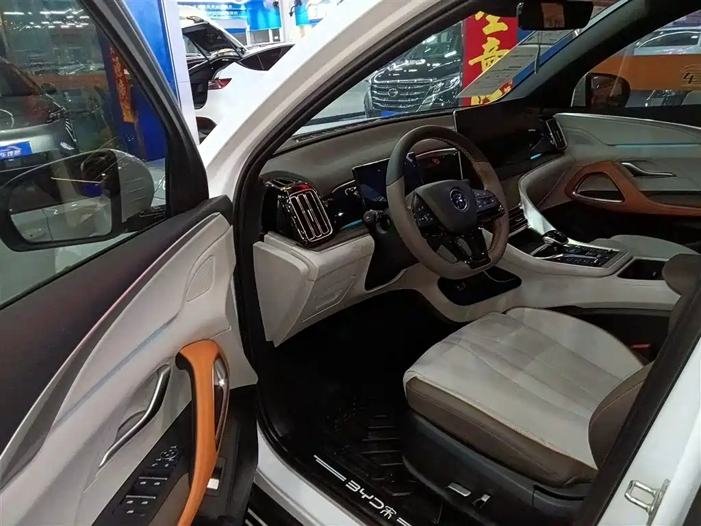 BYD Song Pro New Energy 2023 Champion Edition DM-i 110KM Excellence фото 16