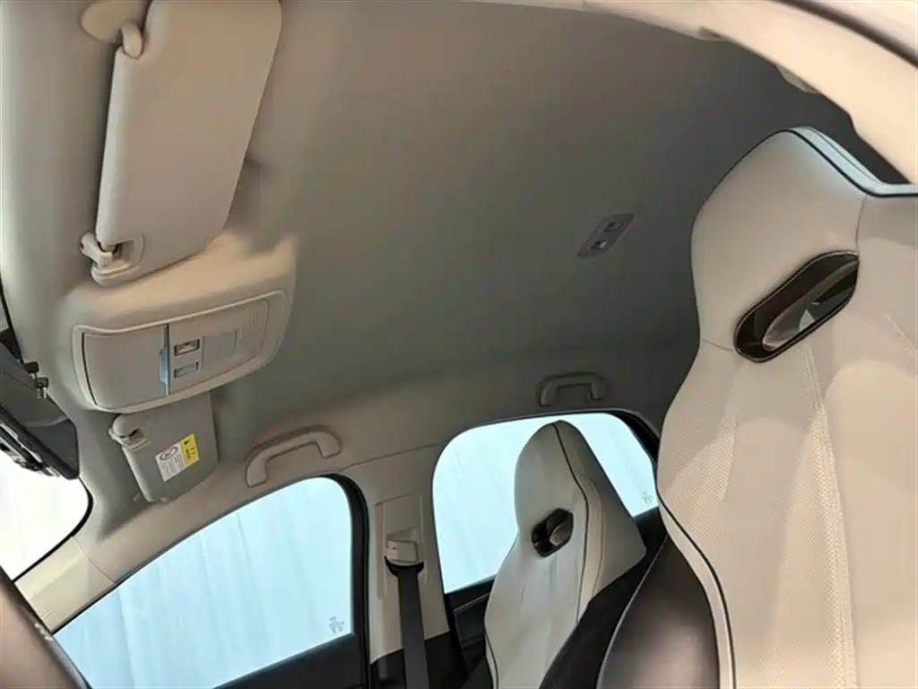 BYD Destroyer 05 2024 Glory Edition DM-i 55KM Luxury фото 14