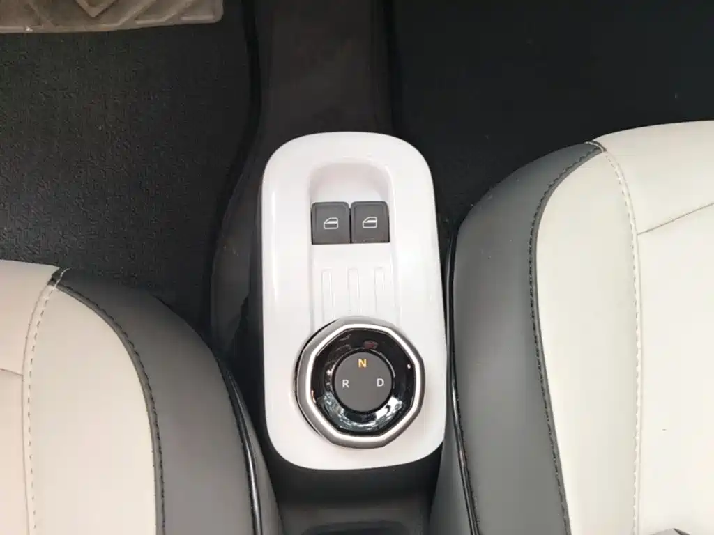 Geely Galaxy Panda 2026 2025 Panda mini 210km Vitality Bear