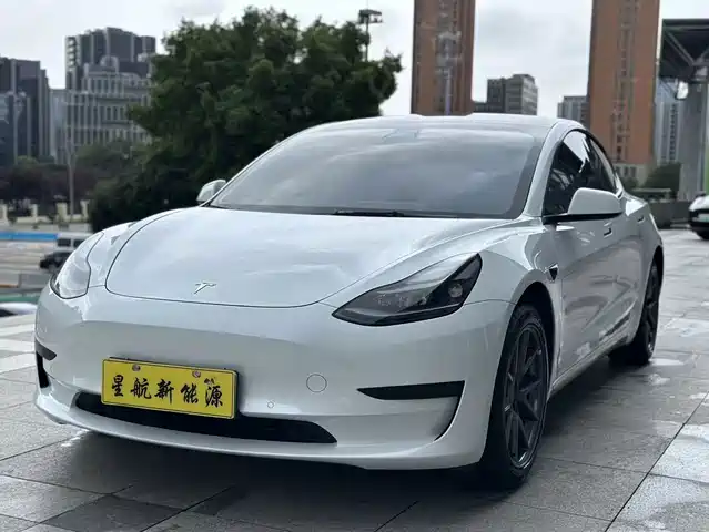 Tesla Model 3 Задний привод