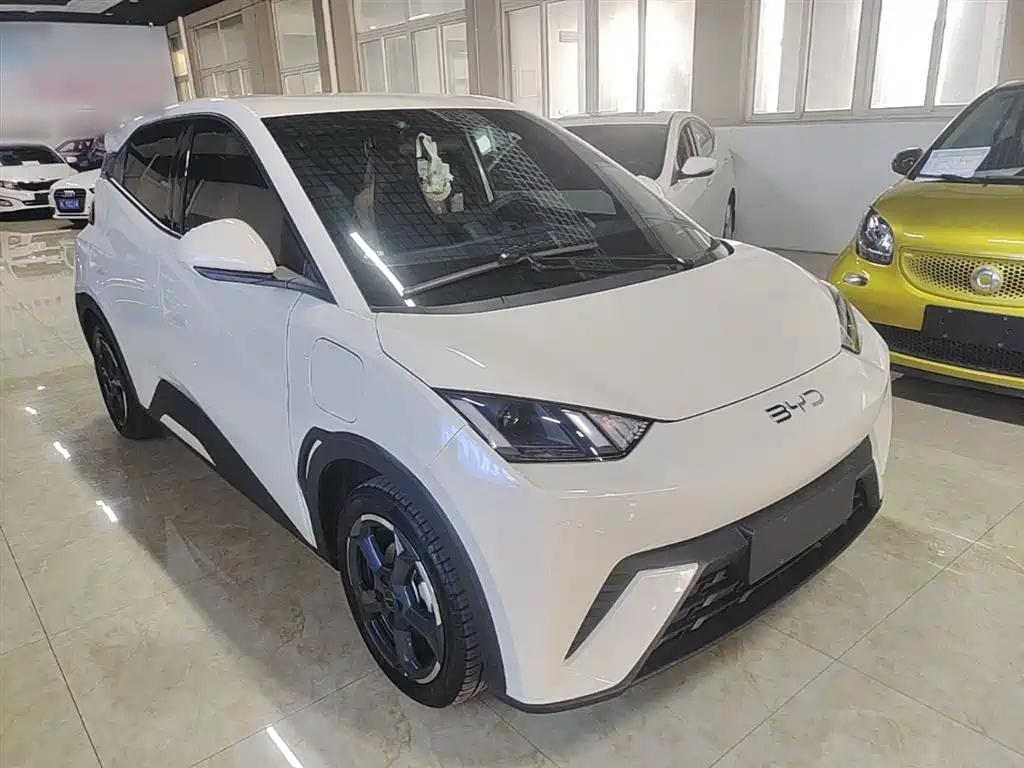BYD Seagull 2024 Glory Edition 405km Soaring Edition фото 4