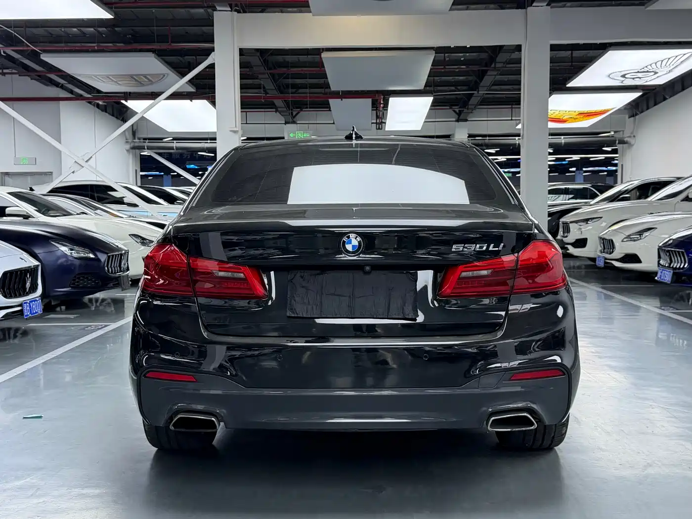 BMW 5 Series 2020 530Li Leading M Sport Package фото 21