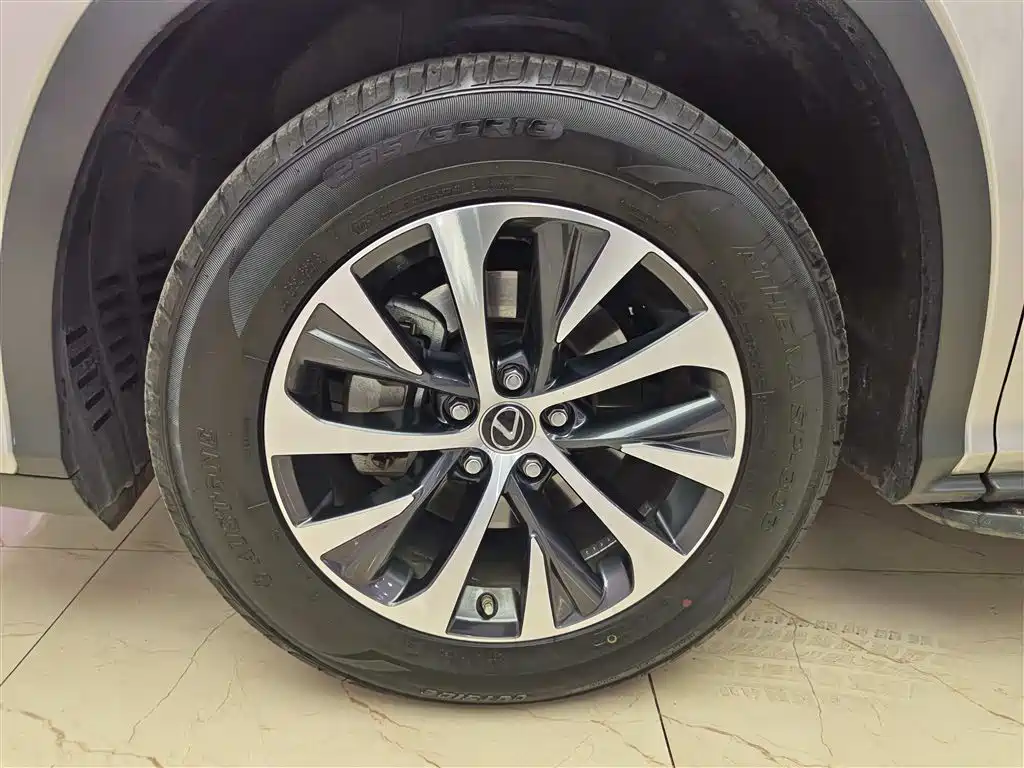 Lexus RX 2020 300 2WD Elite Edition China VI фото 8