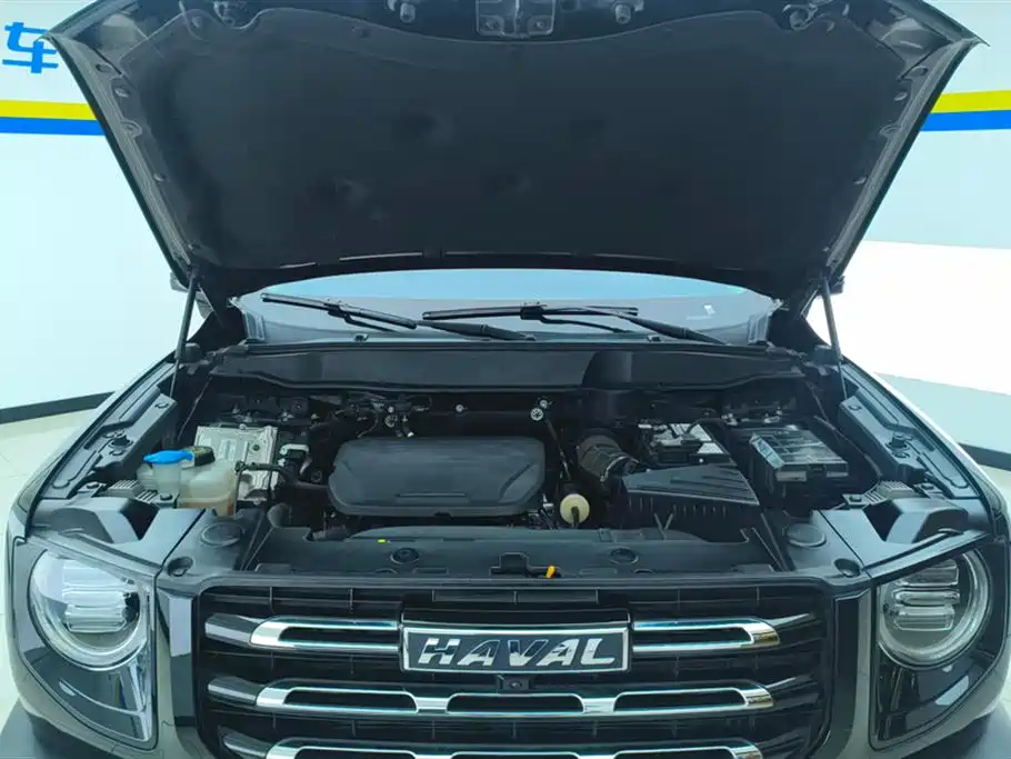 Haval Big Dog 2022 1.5T DCT FWD Malinois Edition фото 10