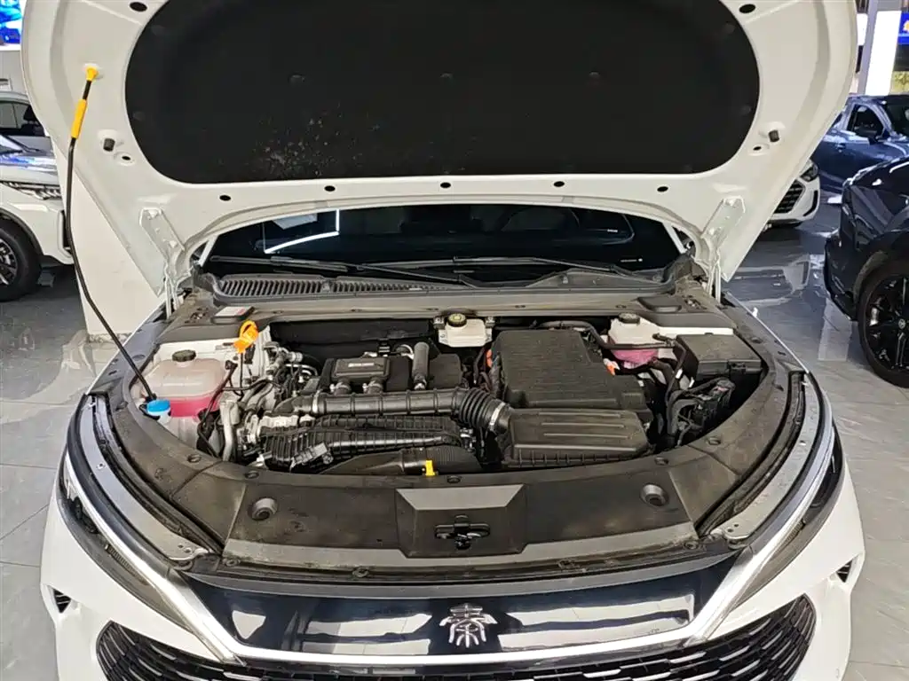 BYD Qin L 2024 DM-i 80KM Superior фото 20