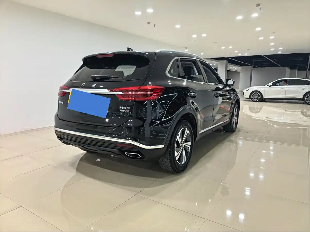 Photo 6 - Hongqi HS5