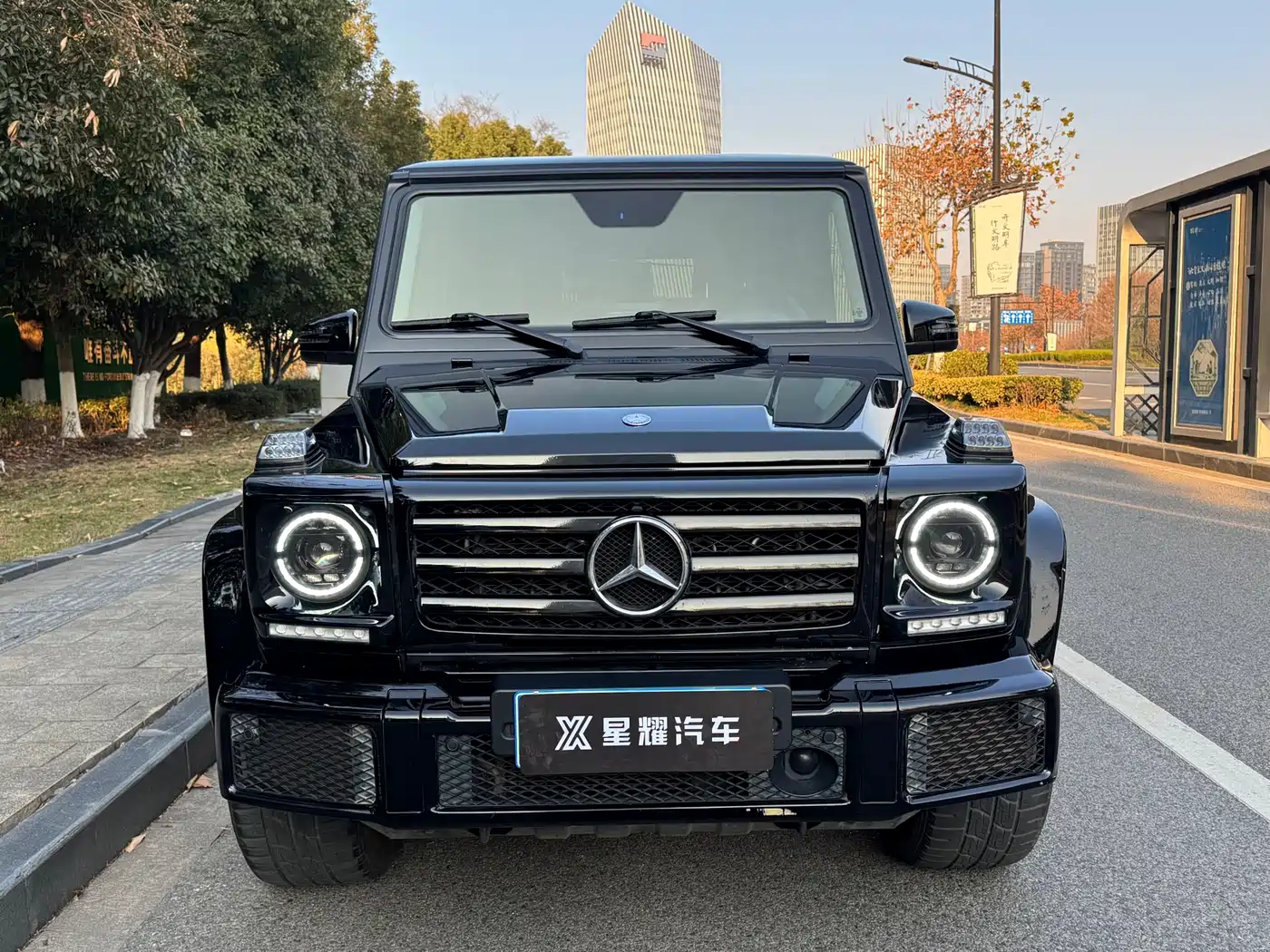 Mercedes-Benz G-Class 2017 G 500 фото 2