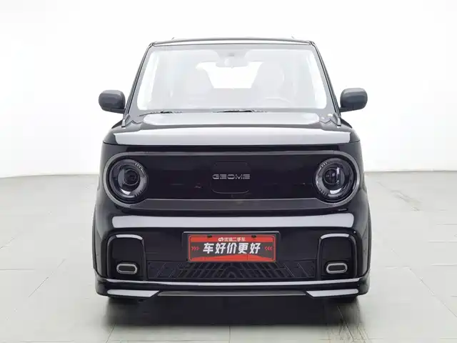 Geely Galaxy Panda 2025 Model Year 210km Panda Kart — фото 3