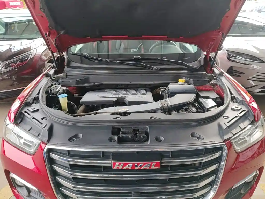 صورة 20 - Haval H4