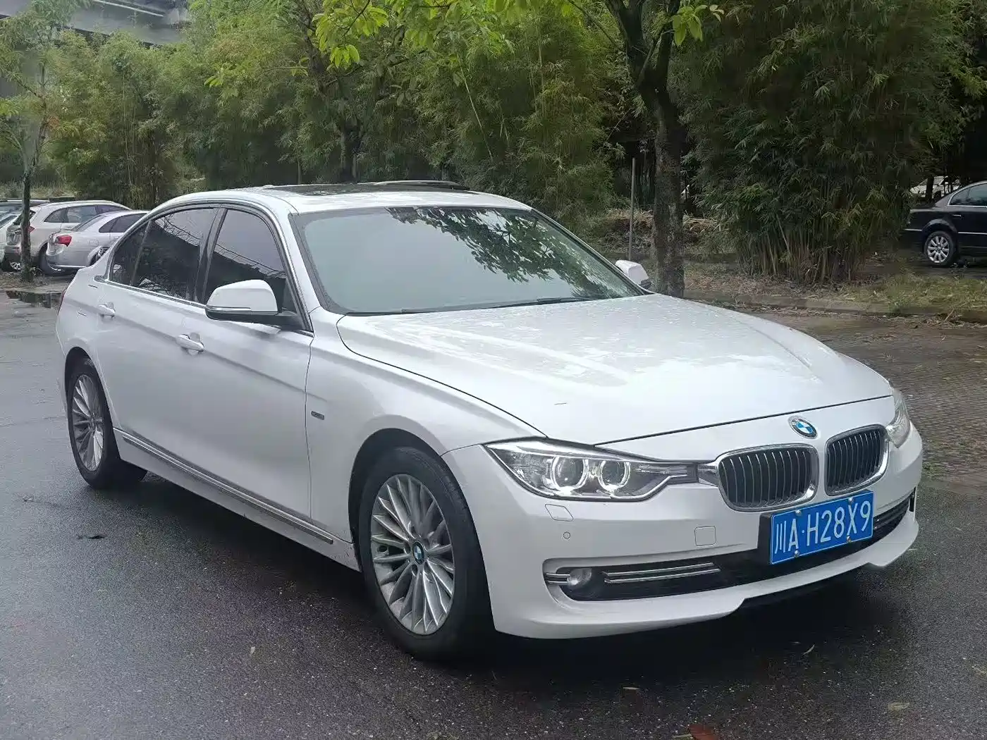 BMW 3 Series 2014 320Li Luxury Design Package фото 3