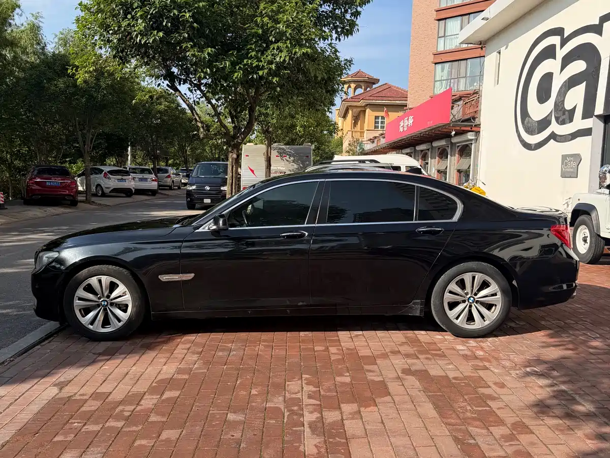 BMW 7 Series 2009 730Li Leading фото 2