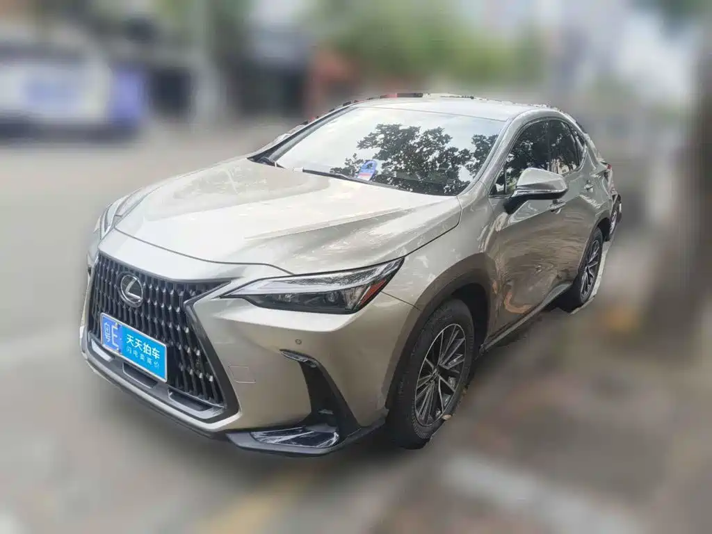Lexus NX 2024 — пригон из Китая