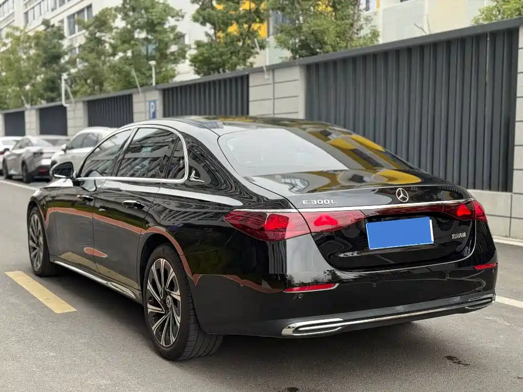 Mercedes-Benz E-Class 2024 Model E 300 L Luxury фото 10