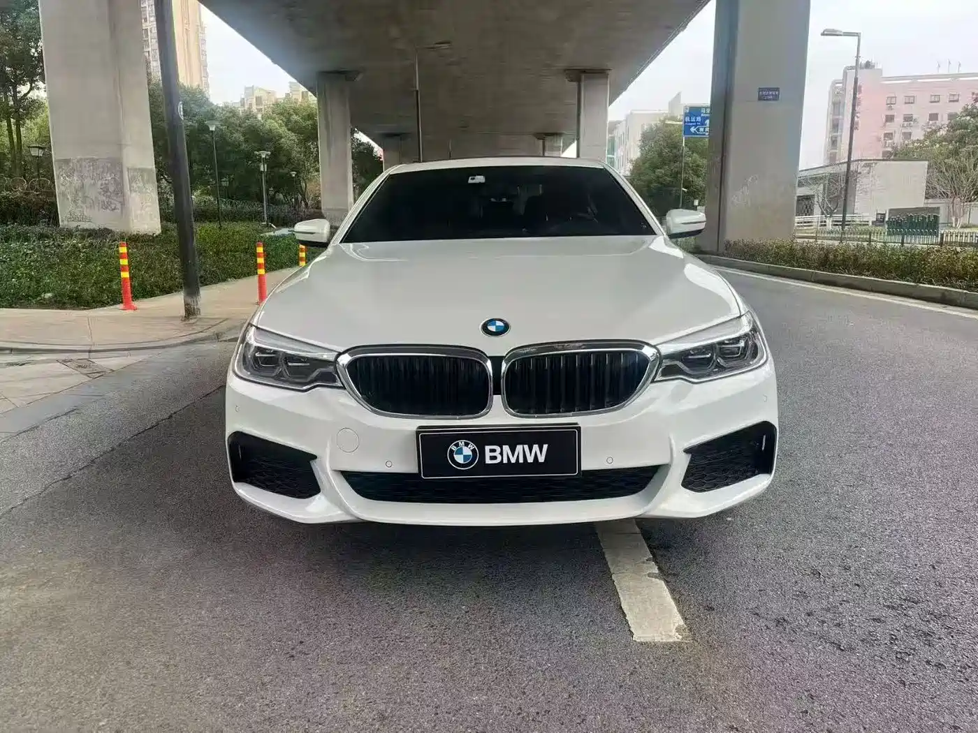 BMW 5 Series 2020 530Li Leading M Sport Package фото 2