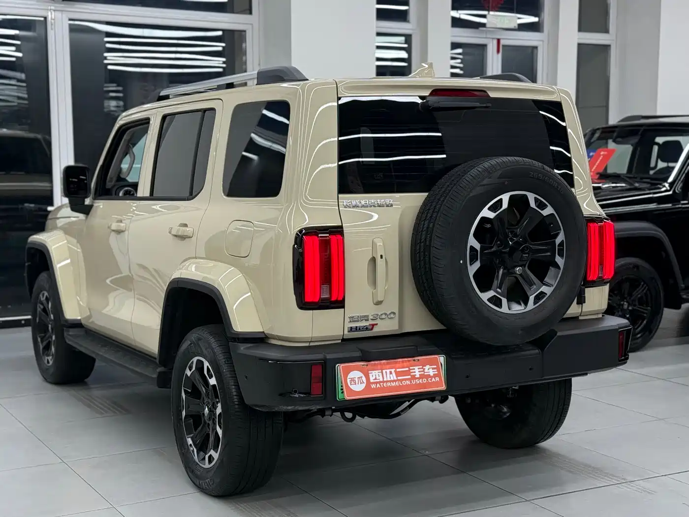 TANK TANK 300 NEW ENERGY