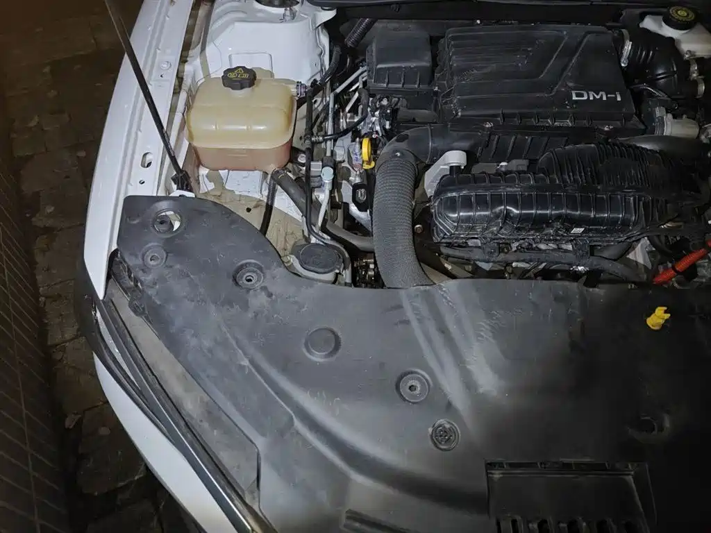 BYD Qin PLUS 2021 DM-i 120KM Premium фото 20