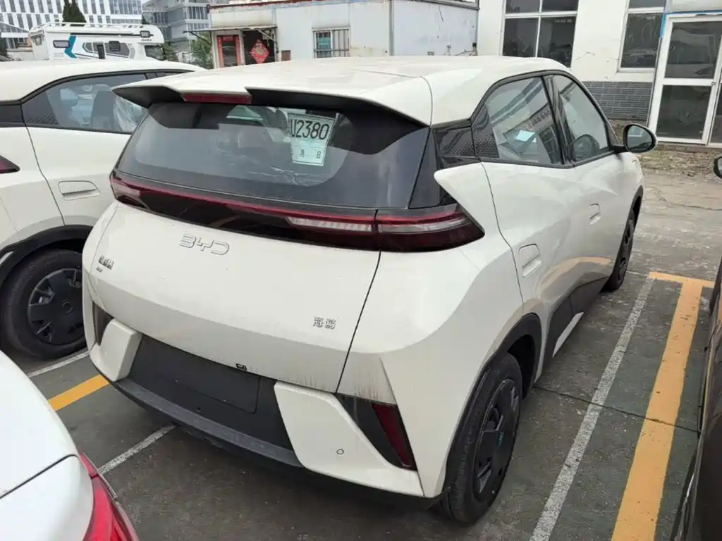 BYD Seagull 2026 2025 Smart Drive Edition 305km Vitality Version