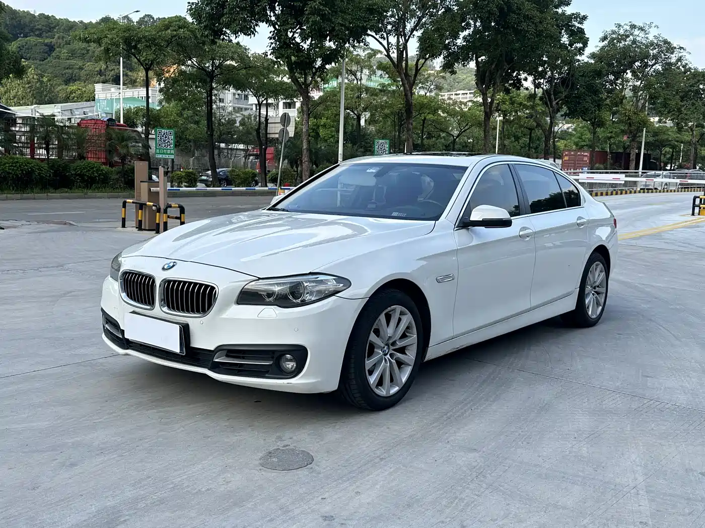 BMW 5 Series 2014 530Li Leading