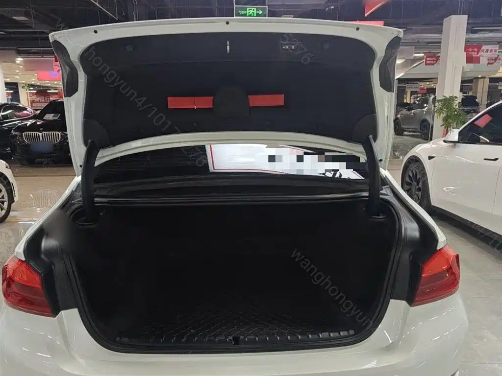 BMW 5 Series 2020 525Li Luxury Package фото 19