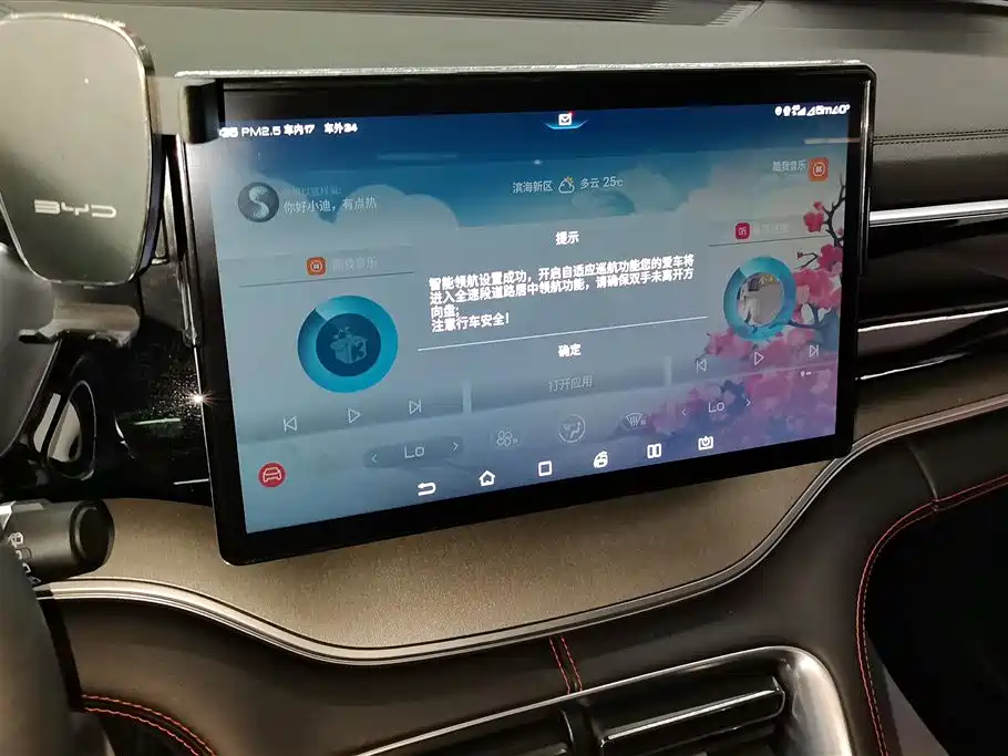 BYD Song PLUS 2020 1.5T Automatic Flagship фото 13