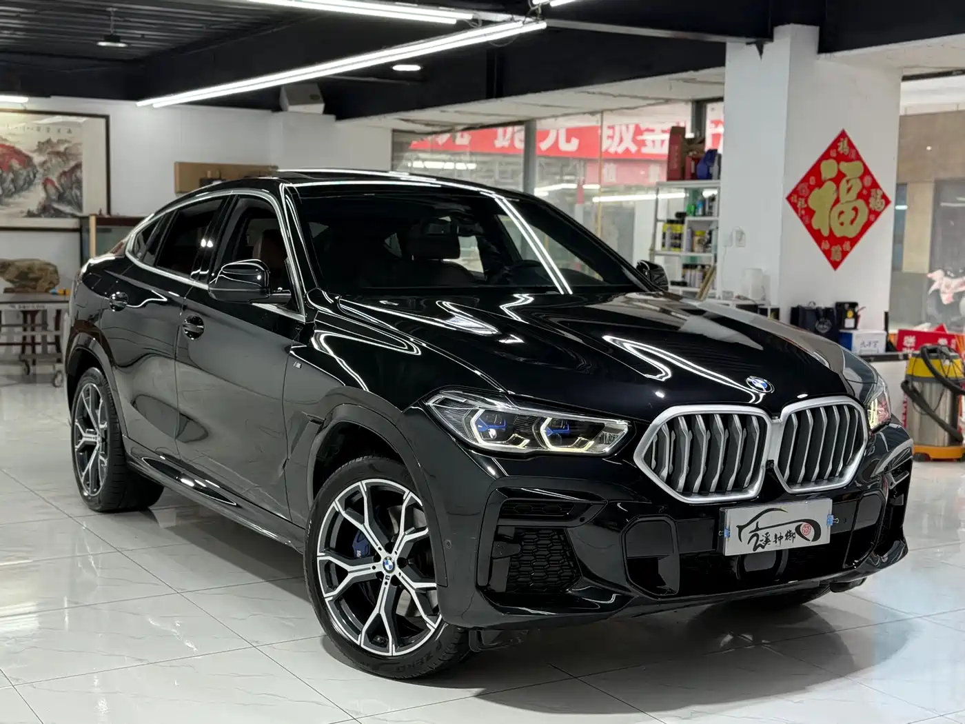 BMW X6