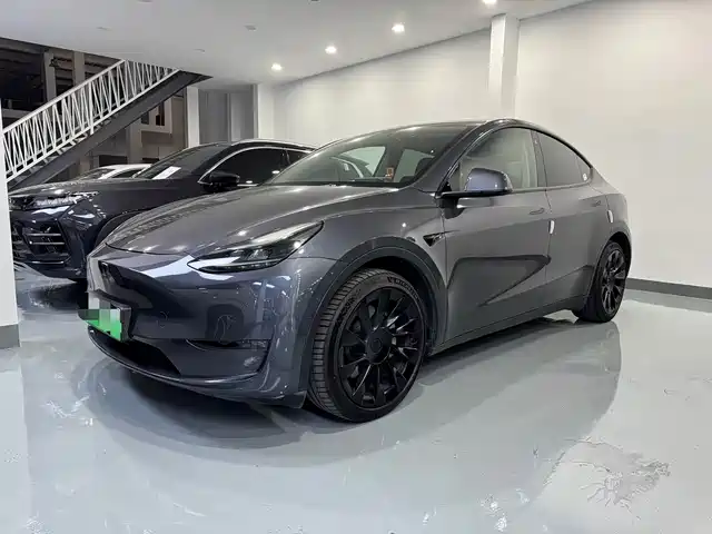Tesla Model Y 2021 Standard Range Rear-Wheel Drive