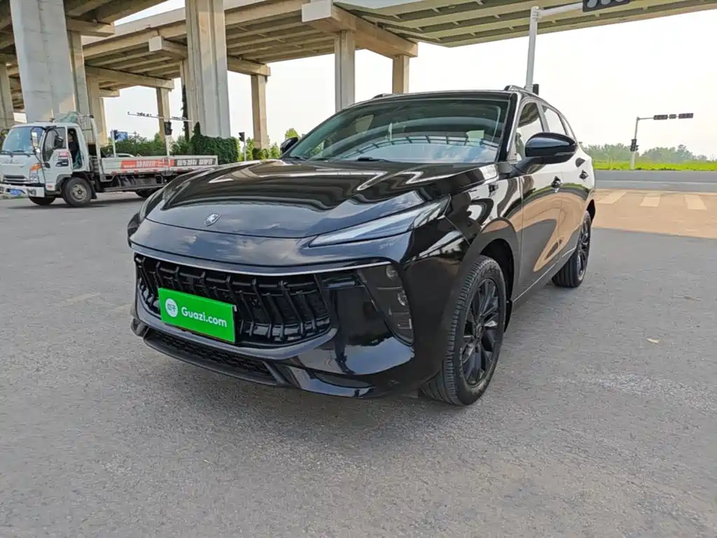 Dongfeng Fengxing T5 EVO 2021 1.5TD DCT Platinum Edition