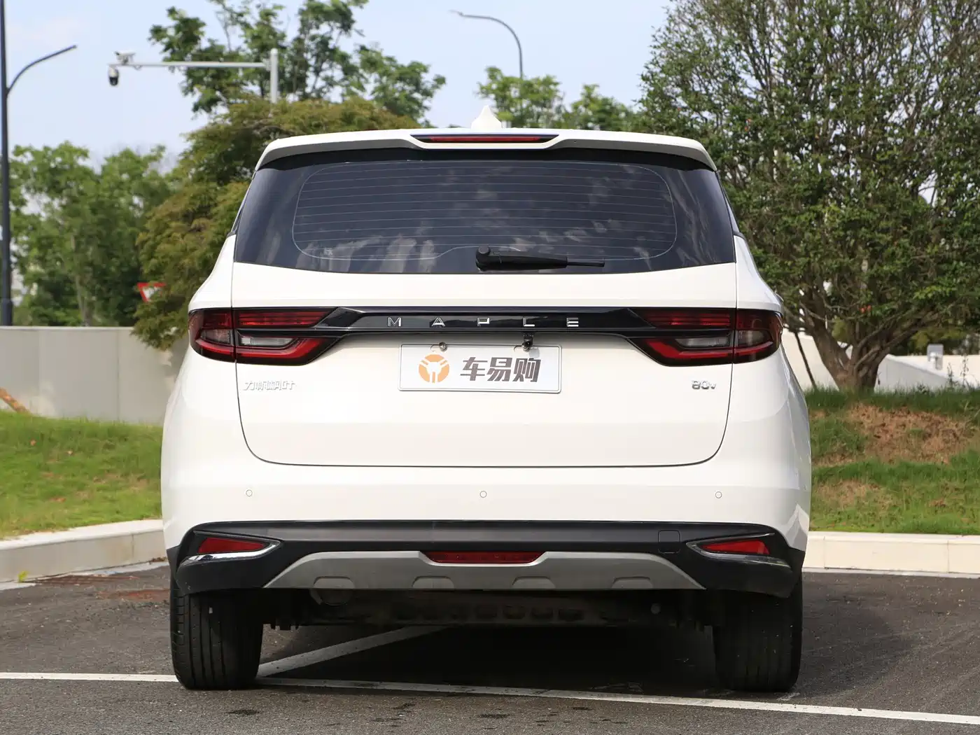 Ruilan Auto Maple 80v 2024 2021 Youxing Edition Ternary Lithium