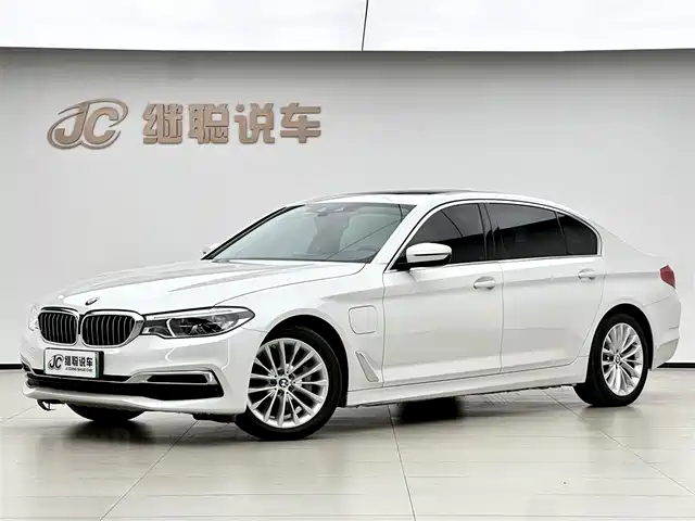 BMW 5 Series New Energy 2020 530Le Luxury Package