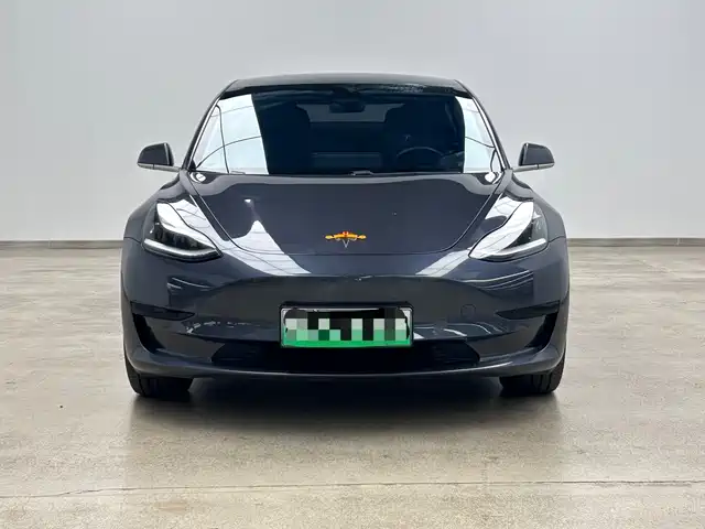 Tesla Model 3 2019 Standard Range Rear-Wheel Drive Upgrade — фото 2