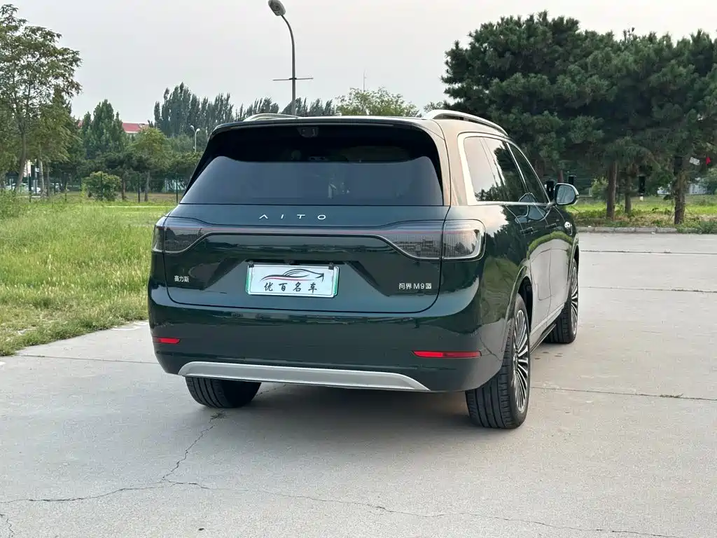 Фото 6 - AITO Wenjie AITO M9