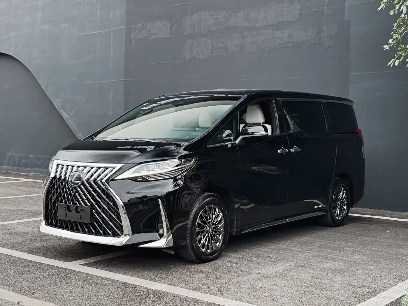 Lexus LM 2020 300h Seven-Seater Elegance Edition фото 4
