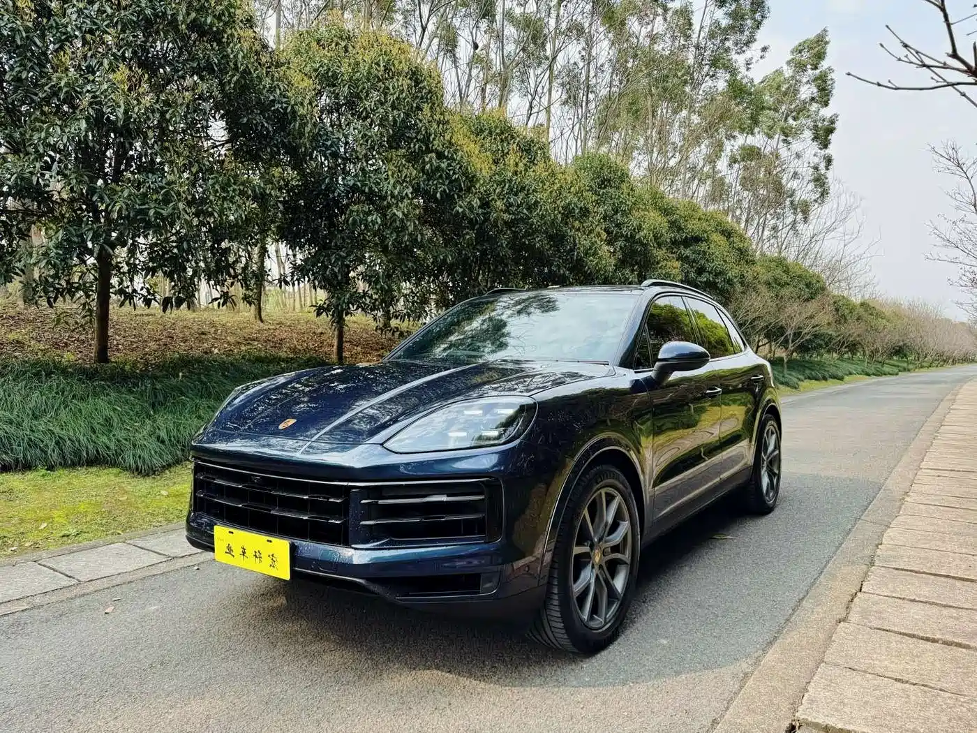 Porsche Cayenne 2025 Cayenne 3.0T