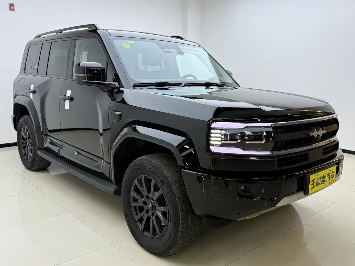 FANG CHENG BAO LEOPARD 5