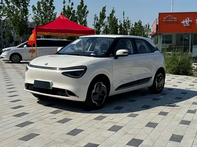 Dongfeng Yipai Nano 01 2026 Model 330 Standard Edition