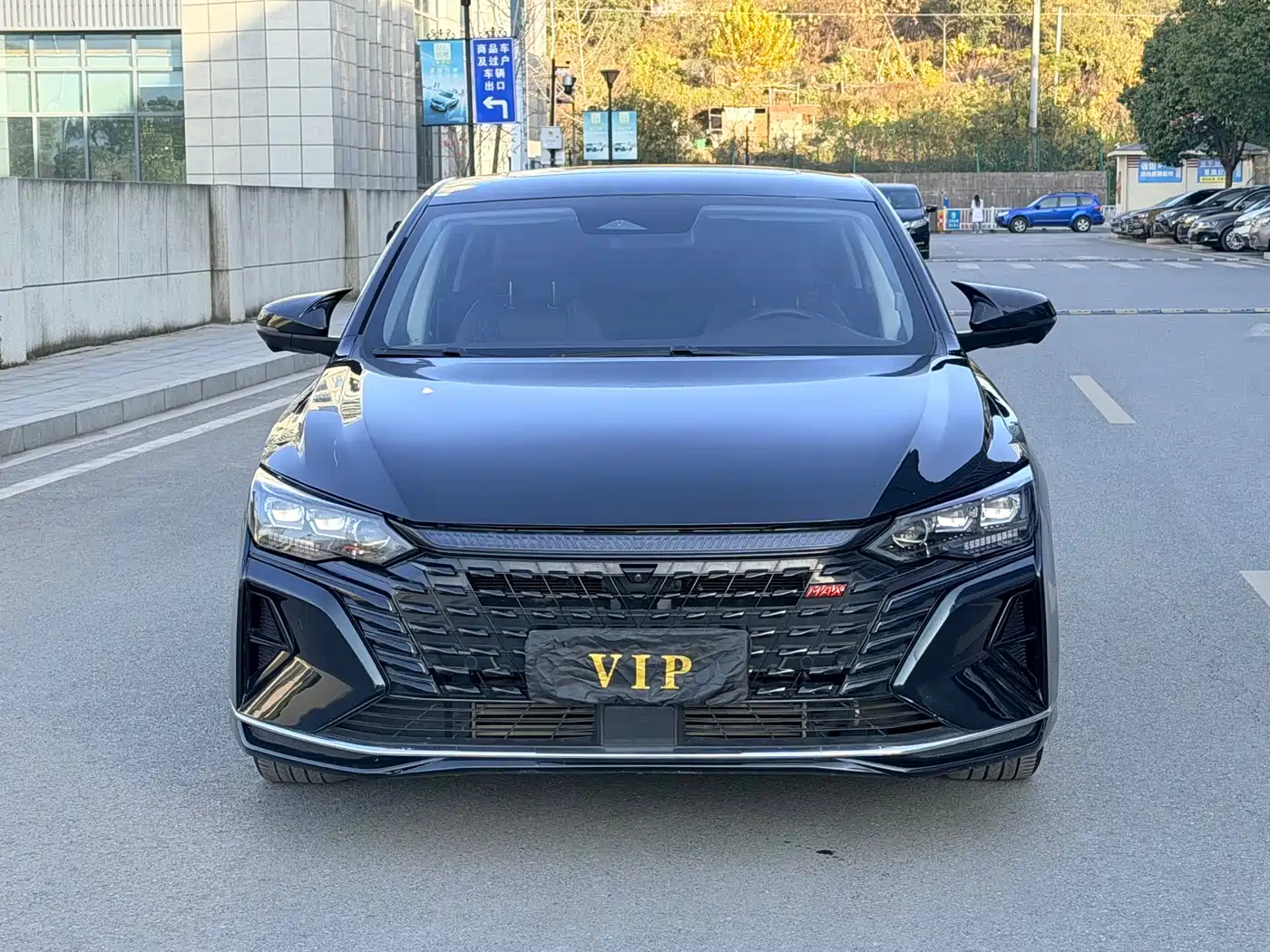 DONGFENG YI HYUN MAX