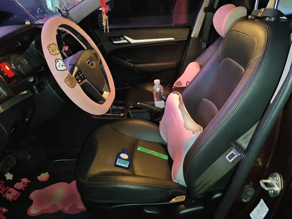 Фото 16 - Geely Vision