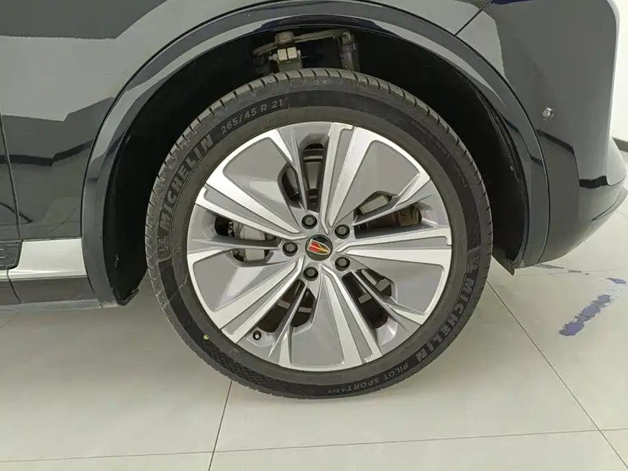 Фото 6 - Hongqi E-HS9