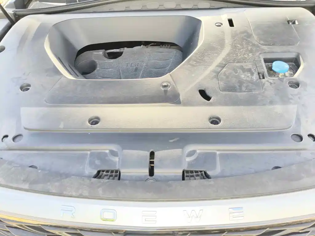 Roewe RX5 MAX 2022 2022 1.5T Auto Youwei Flagship