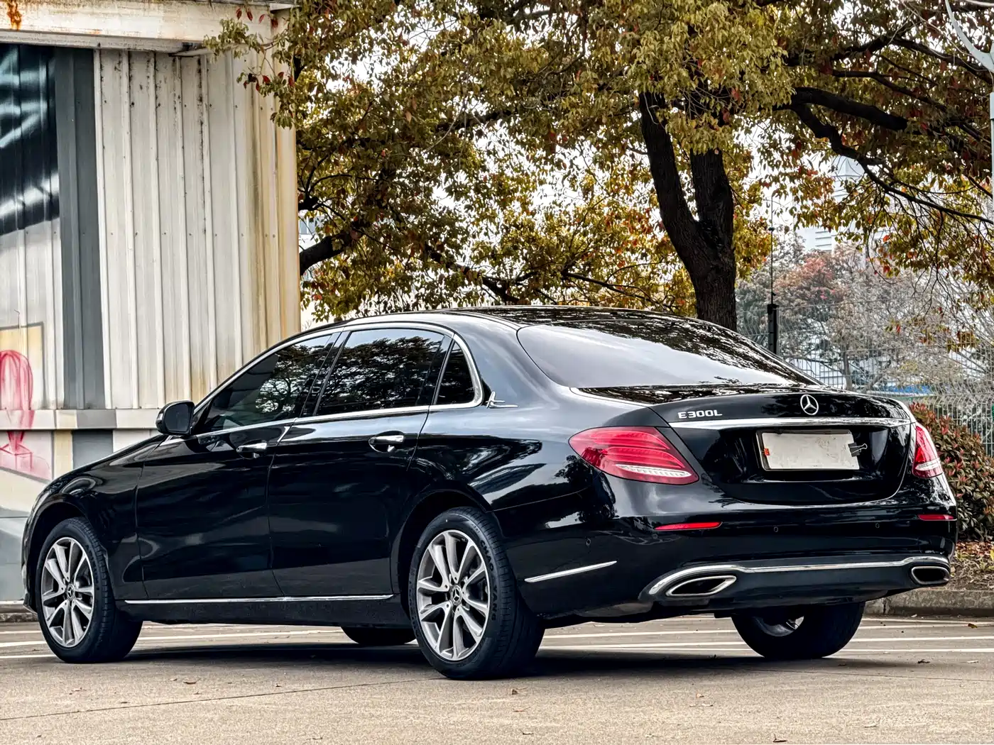 Mercedes-Benz E-Class 2019 E 260 L фото 6
