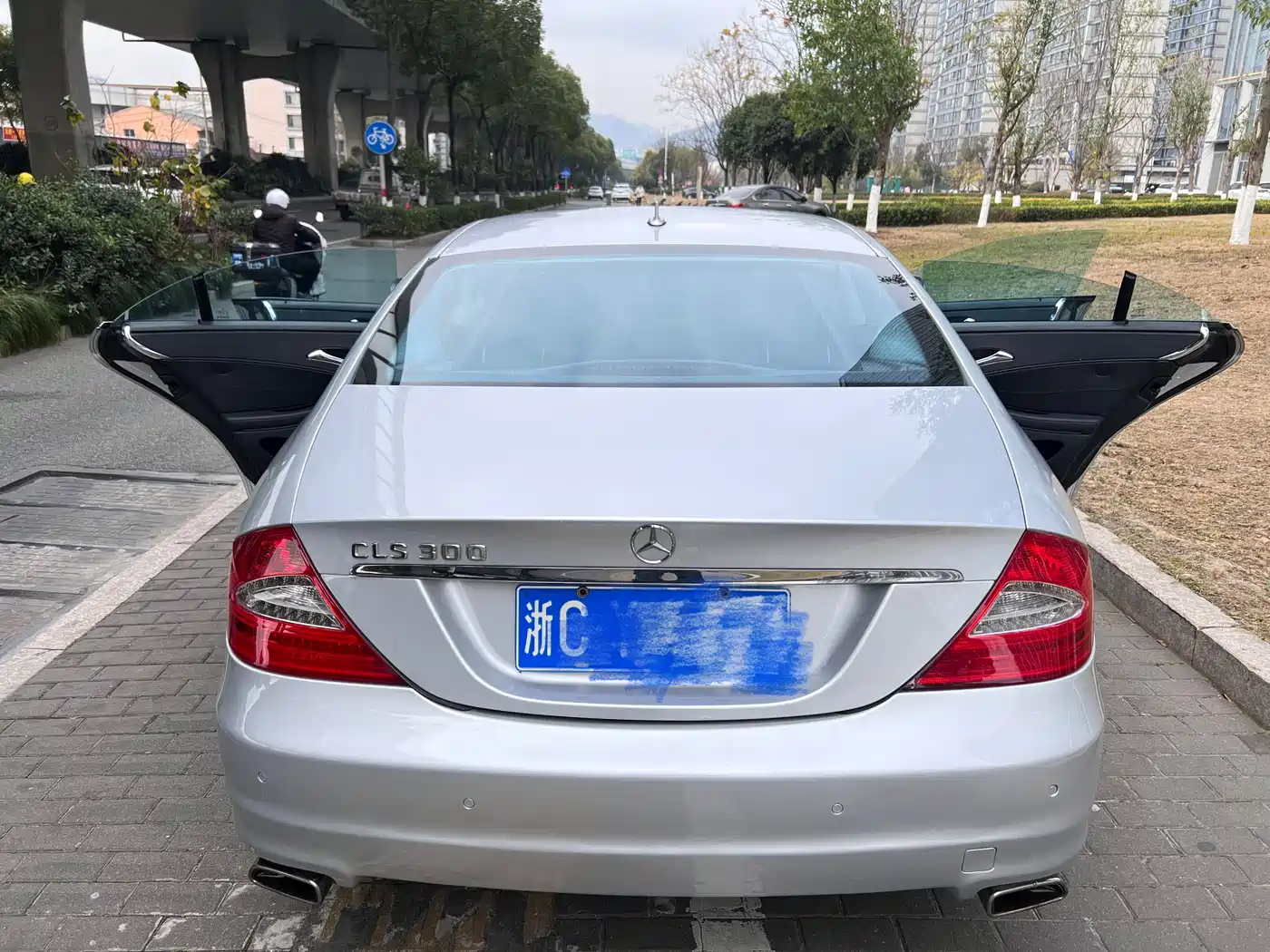 Mercedes-Benz CLS 2009 CLS 300 фото 14