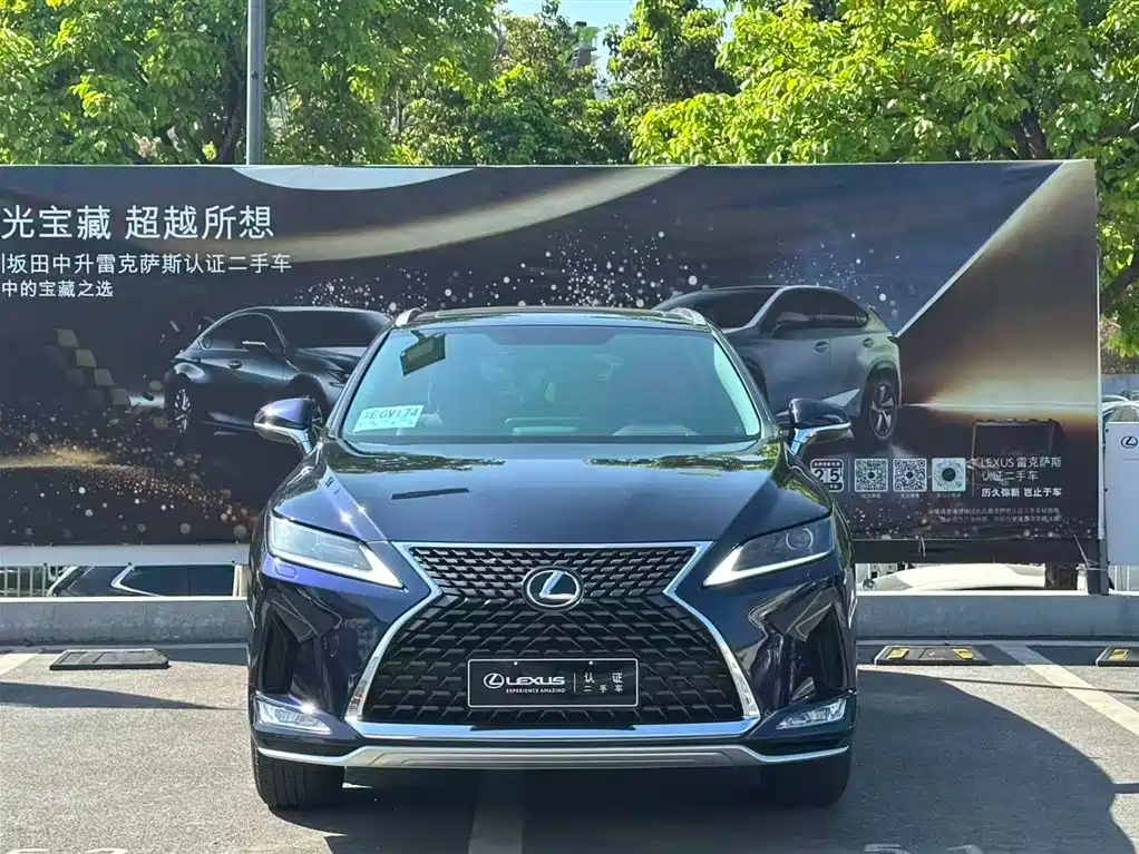Lexus RX 2020 300 2WD Elite Edition China V фото 2