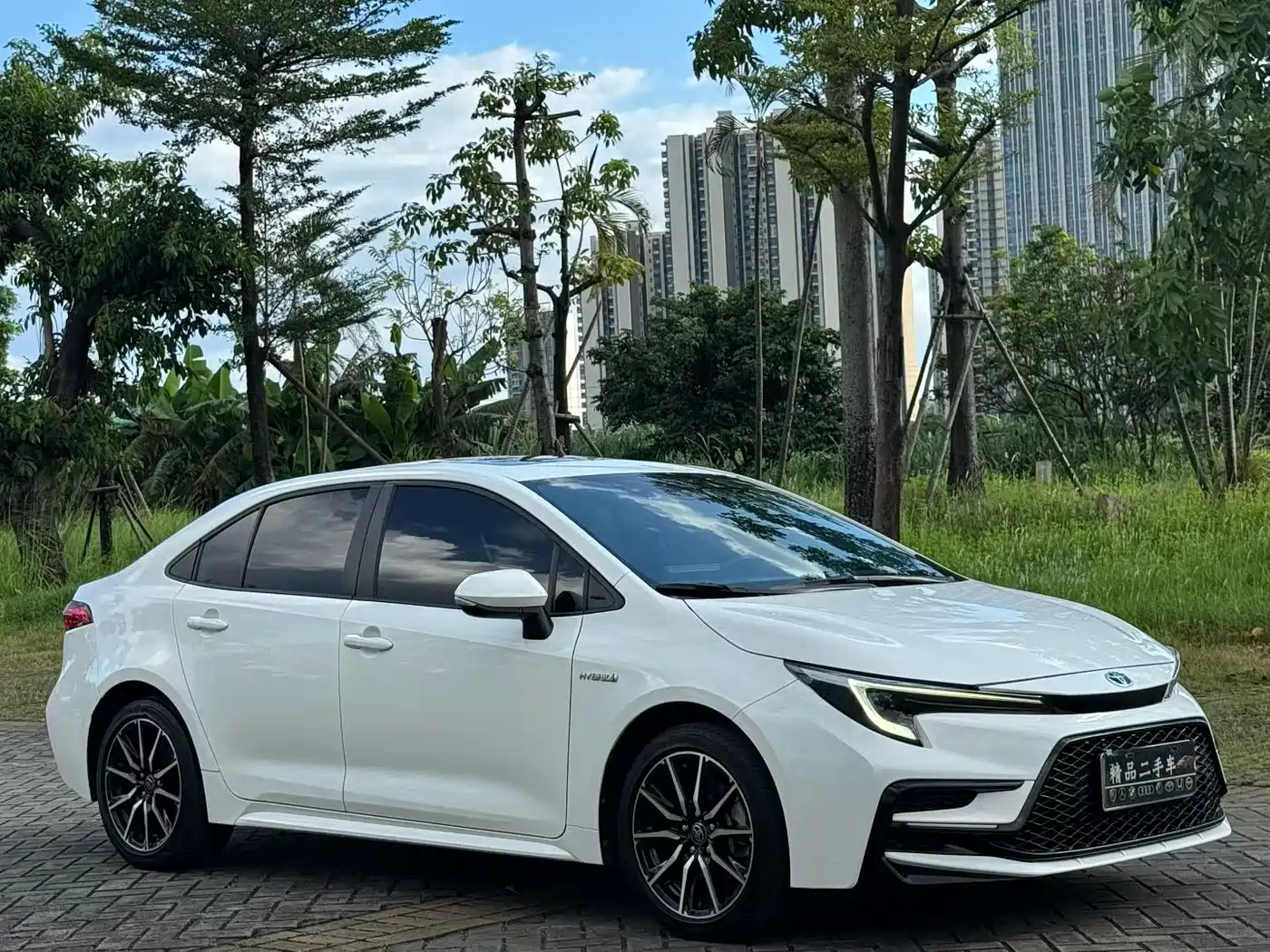 Фото 3 - Toyota Levin
