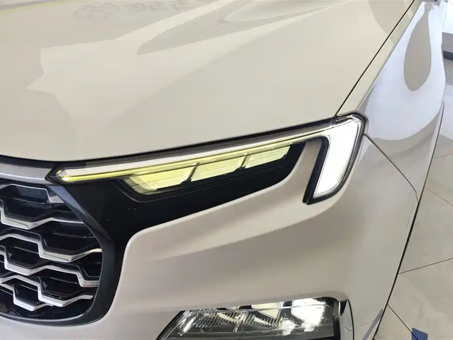 FORD LINGYU
