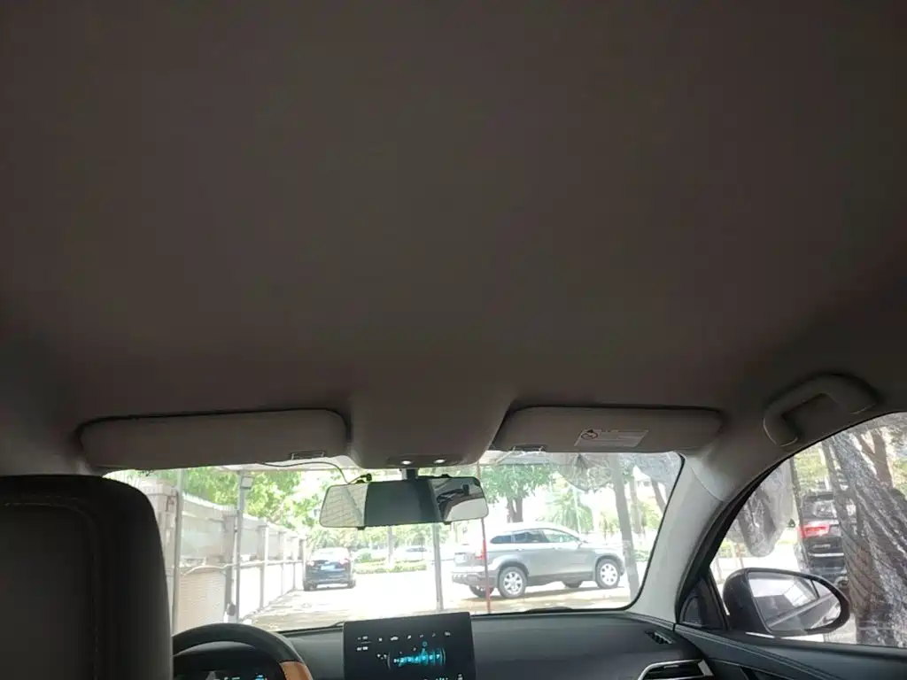 BYD e2 2021 2020 Upgraded Long Range Luxury