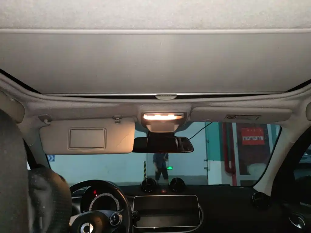 Фото 9 - smart forfour