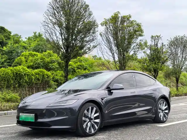 Tesla Model 3 Задний привод